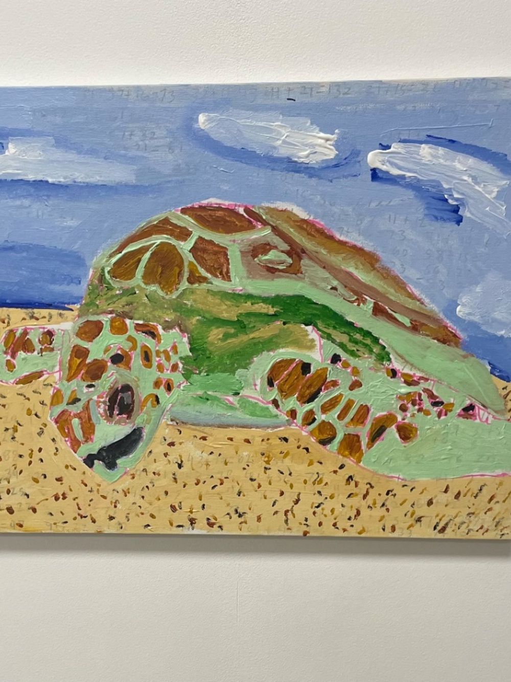Turtle Resting - Picture 2 of 2